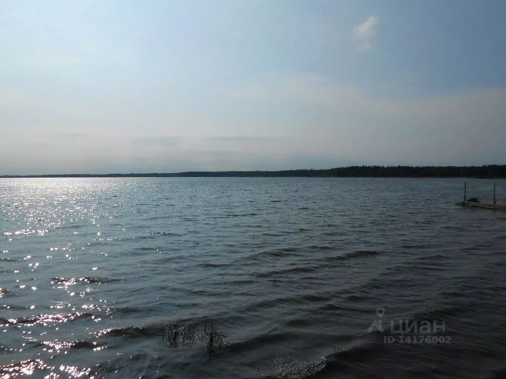 Участок в Новгородская область, Боровичский район, д. Пирусс  (8.4 ... - Фото 0