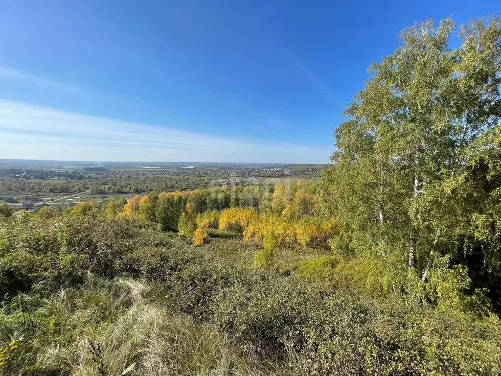 Участок в Томская область, Томский район, с. Коларово Кооперативная ... - Фото 0