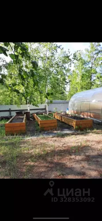 Участок в Саха (Якутия), Якутск городской округ, с. Маган  (15.0 сот.) - Фото 2