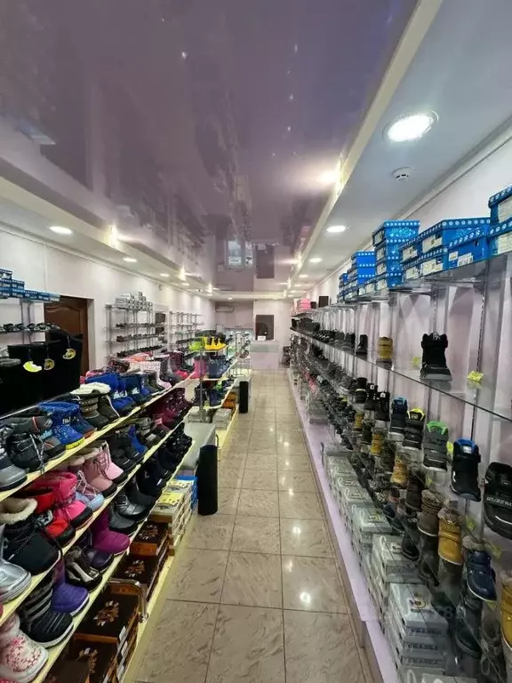 Торговая площадь в Коми, Сыктывкар просп. Бумажников, 42 (282 м) - Фото 1