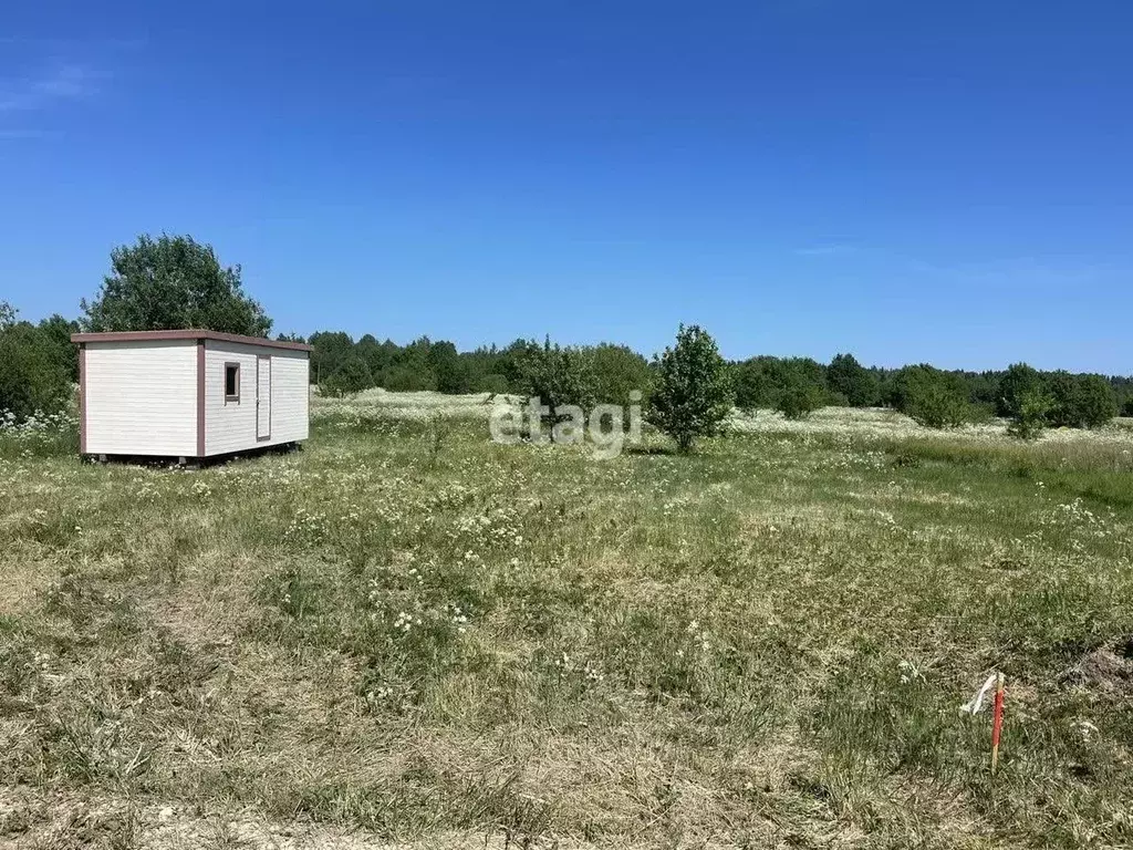 Участок в Ленинградская область, Гатчинский район, Рождественское ... - Фото 0