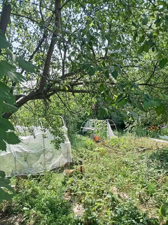 Дом в Нижегородская область, Нижний Новгород Ракета ТСН, 403 (20 м) - Фото 1