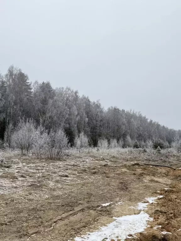 Участок в Владимирская область, Владимир д. Уварово, ул. Дубровка ... - Фото 1