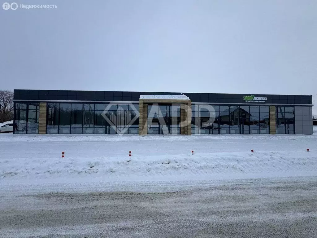 Торговая площадь (53.2 м) - Фото 1