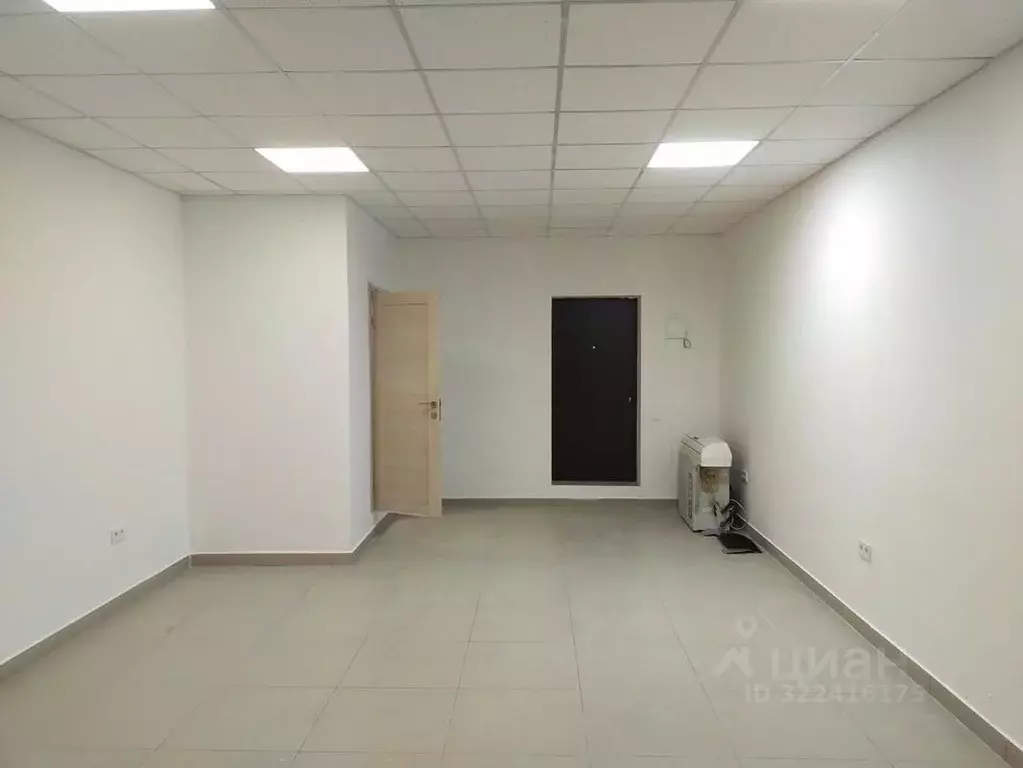 Торговая площадь в Краснодарский край, Сочи ул. Гастелло, 29 (33 м) - Фото 2