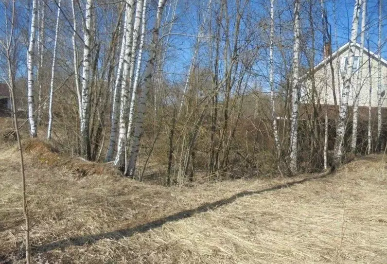Участок в Московская область, Дмитровский муниципальный округ, д. ... - Фото 0