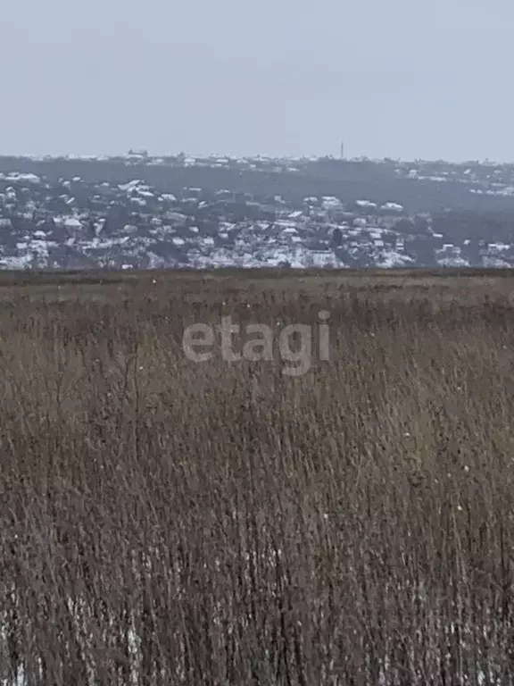 Участок в Белгородская область, Белгородский район, Головинское с/пос, ... - Фото 0