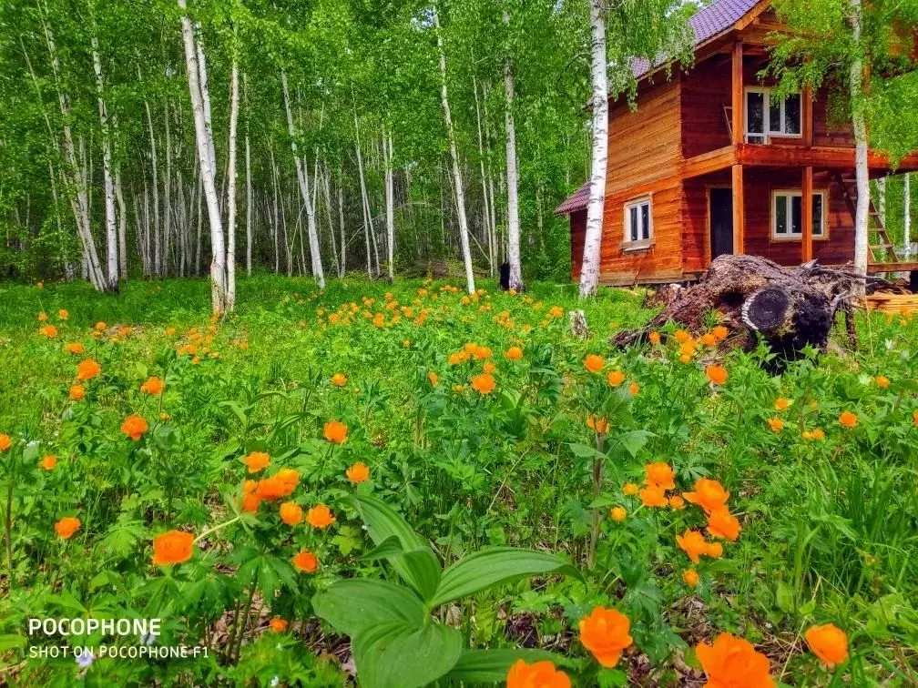 Дом в Иркутская область, Иркутский муниципальный округ, Искра СНТ  (60 ... - Фото 0