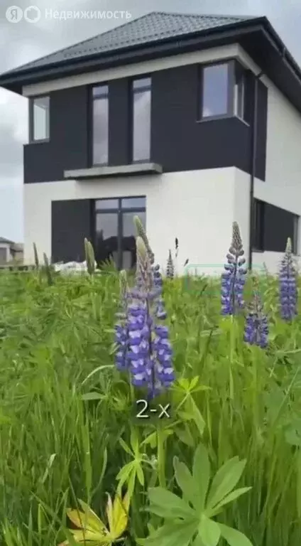 Дом в Холмогоровка, Азовская улица (135 м) - Фото 2