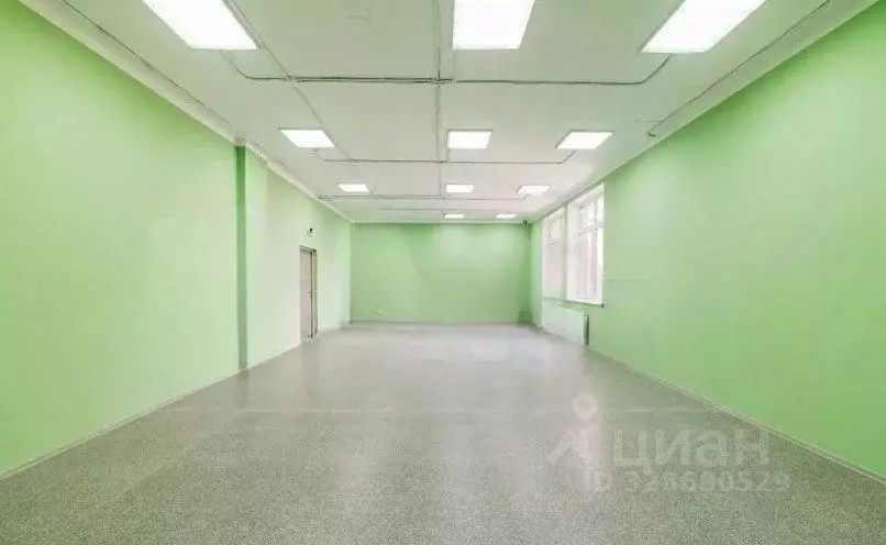 Помещение свободного назначения в Татарстан, Казань ул. Баки Урманче, ... - Фото 1