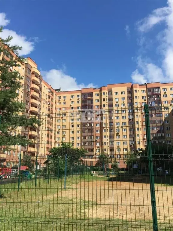 3-к кв. Московская область, Богородский городской округ, д. Щемилово ... - Фото 2