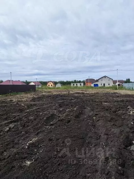 Участок в Тюменская область, Тюменский район, с. Червишево  (7.5 сот.) - Фото 1