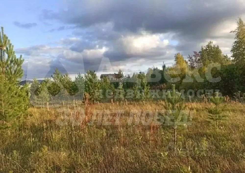 Участок в Свердловская область, Тугулымский муниципальный округ, с. ... - Фото 2