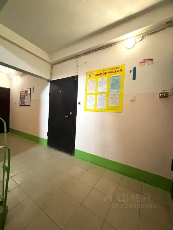 3-к кв. Пермский край, Пермь Транспортная ул., 19 (68.5 м) - Фото 2