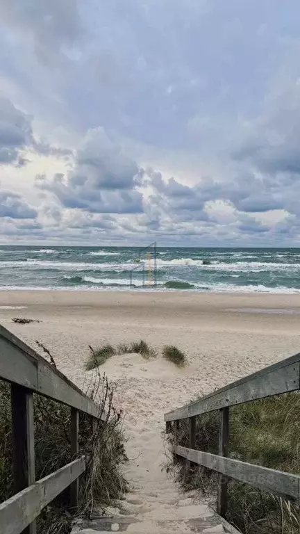 Участок в Крым, Раздольненский район, Славновское с/пос, Отдых СНТ  ... - Фото 2