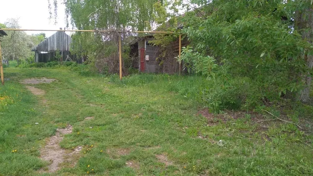 Дом в Нижегородская область, Княгининский муниципальный округ, с. ... - Фото 1