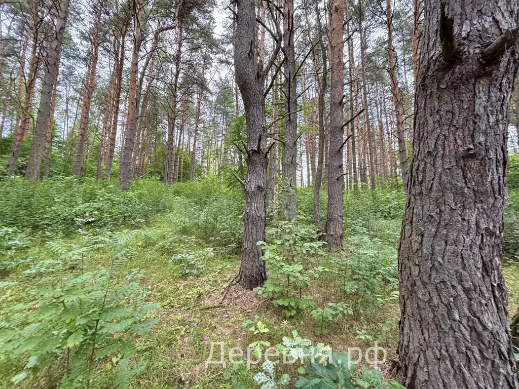 Участок в Калужская область, Дзержинский район, Угорское с/пос, ... - Фото 1