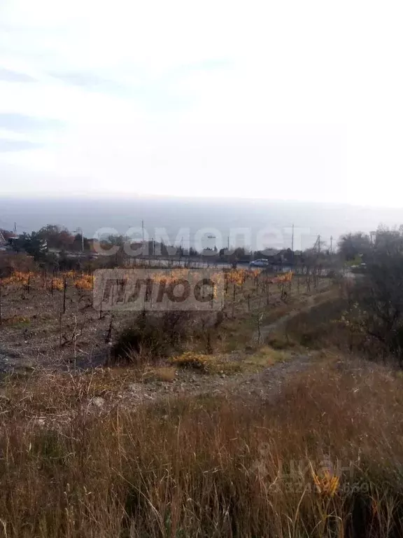 Студия Крым, Ялта муниципальный округ, Парковое пгт ул. Центральная, 1 ... - Фото 1