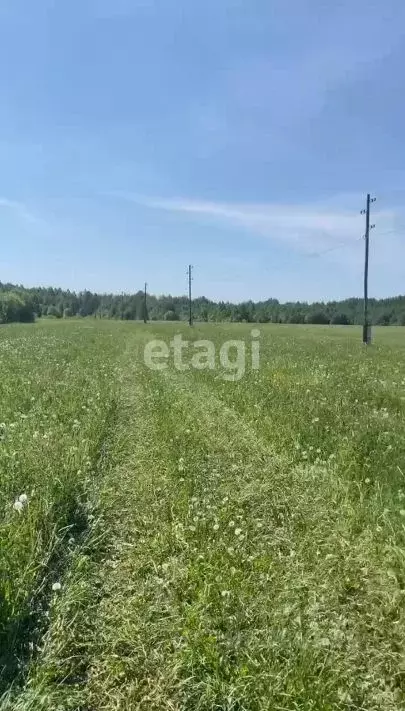 Участок в Пермский край, Краснокамский городской округ, пос. Ласьва  ... - Фото 0