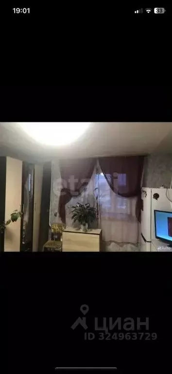 1-к кв. Тюменская область, Тюмень Олимпийская ул., 16 (22.1 м) - Фото 2