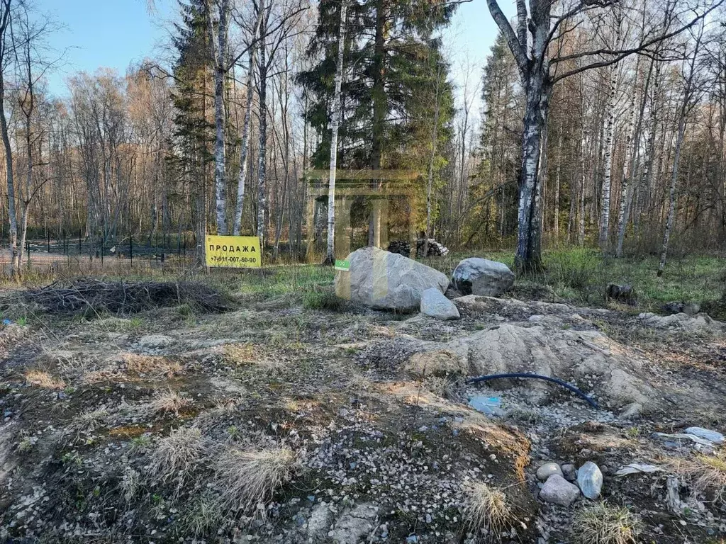 Участок в Ленинградская область, Всеволожский район, Токсовское ... - Фото 1