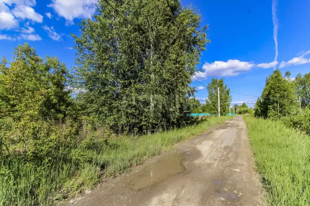 Участок в Тюменская область, Нижнетавдинский муниципальный округ, ... - Фото 1