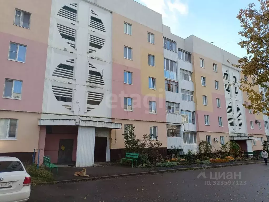 4-к кв. Белгородская область, Валуйки ул. Чапаева, 34/2 (85.3 м) - Фото 1