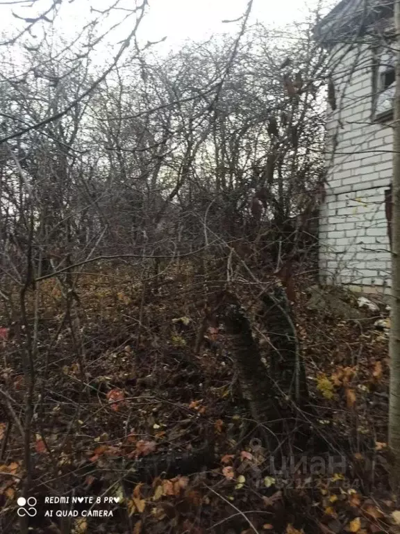 Участок в Белгородская область, Яковлевский муниципальный округ, с. ... - Фото 1