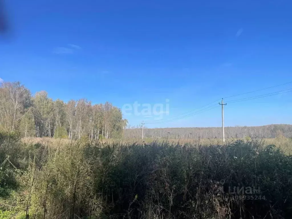 Участок в Челябинская область, Сосновский район, пос. Саргазы  (17.8 ... - Фото 0