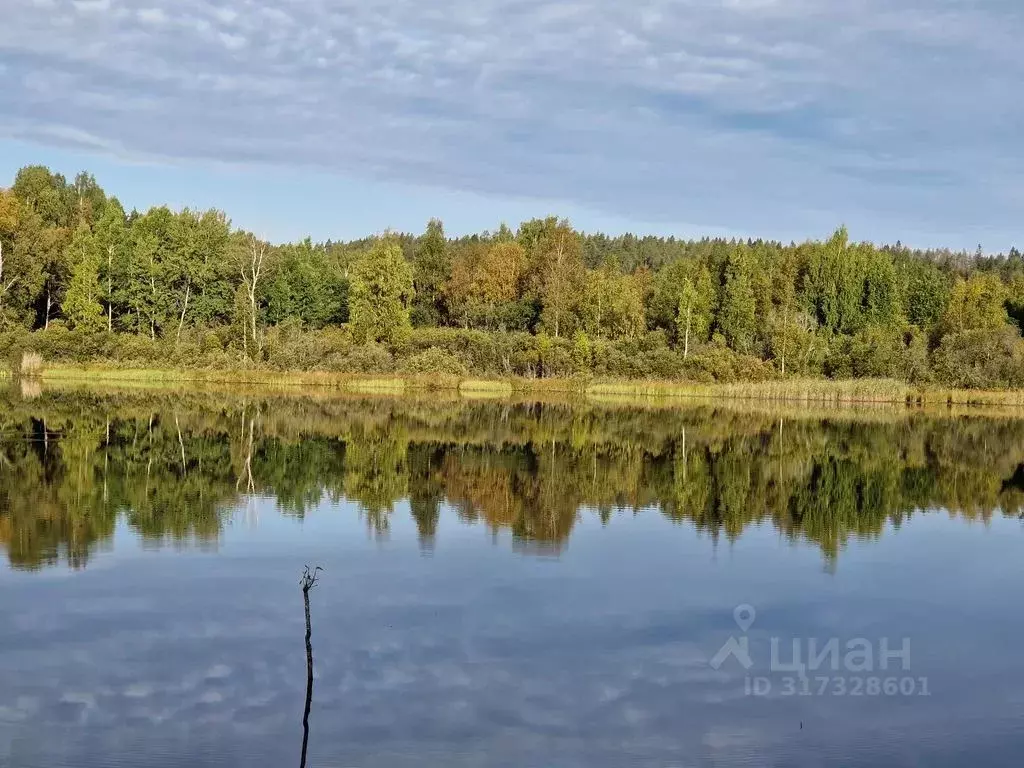 Дом в Карелия, Питкярантский муниципальный округ, д. Леппясилта 7А (40 ... - Фото 1