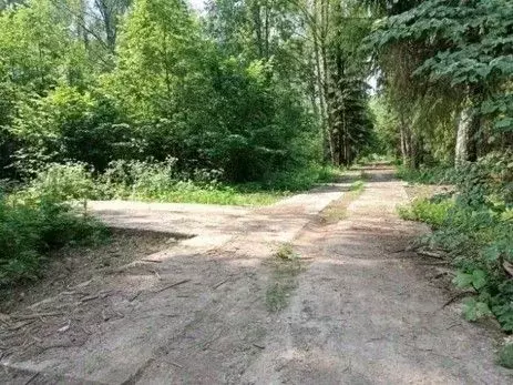 Участок в Москва № 100 кв-л,  (1258.15 сот.) - Фото 0