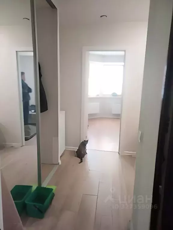 Студия Московская область, Звенигород Одинцовский городской округ, 3-й ... - Фото 0