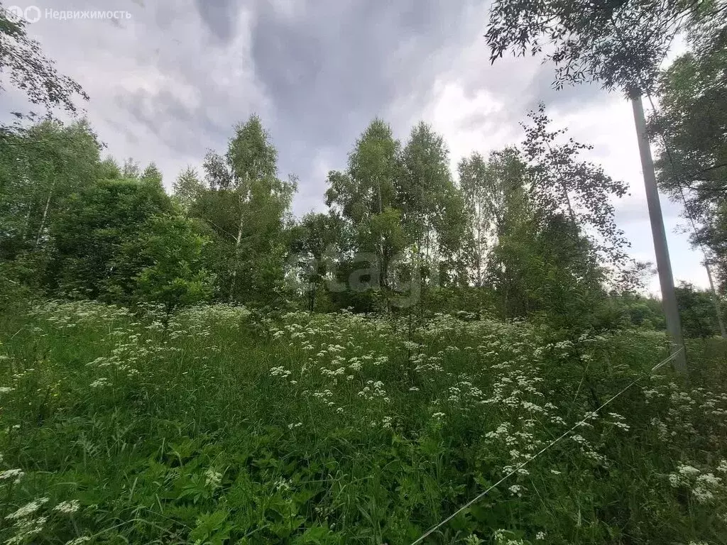 Участок в Петушинский район, муниципальное образование Пекшинское, ... - Фото 0