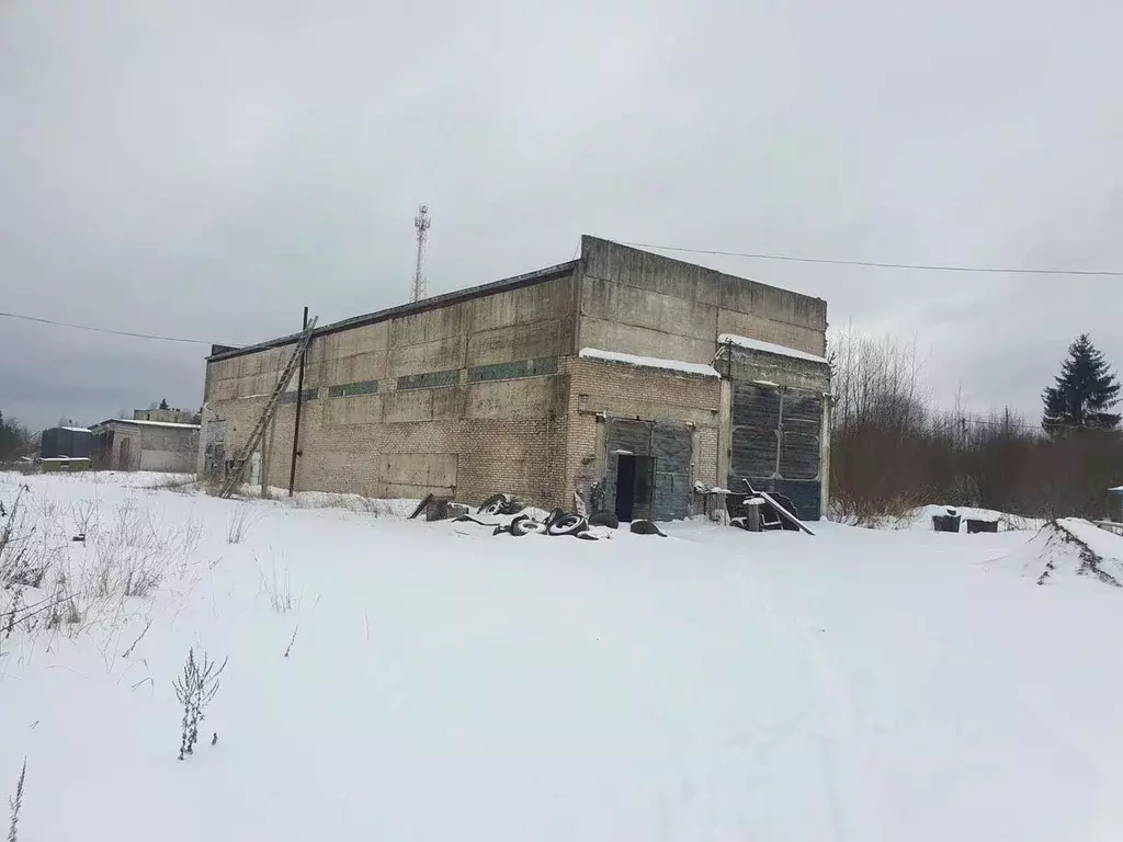 Склад в Ленинградская область, Бокситогорский район, Борское с/пос, д. ... - Фото 2