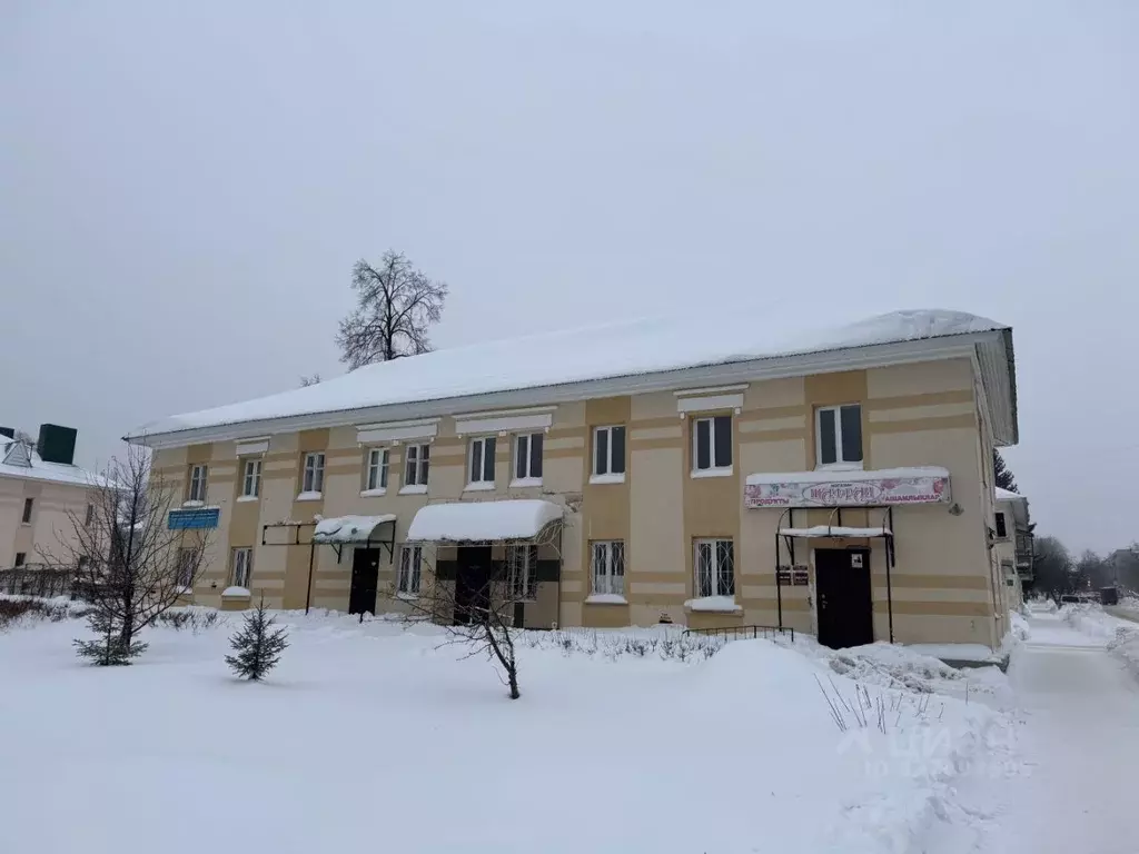 Помещение свободного назначения в Татарстан, Лениногорск Тукая ул., ... - Фото 1