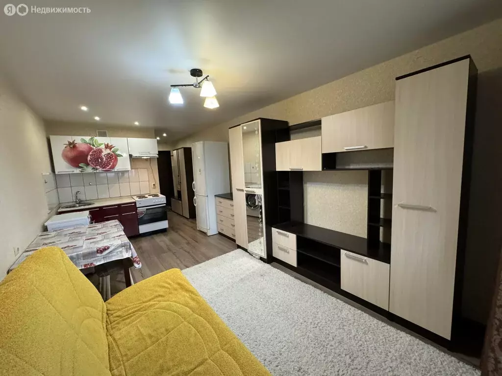 Квартира-студия: Садаковский, Московская улица, 53А (23.1 м) - Фото 2