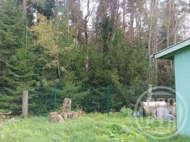 Участок в Ленинградская область, Выборгский район, Рощинское городское ... - Фото 0