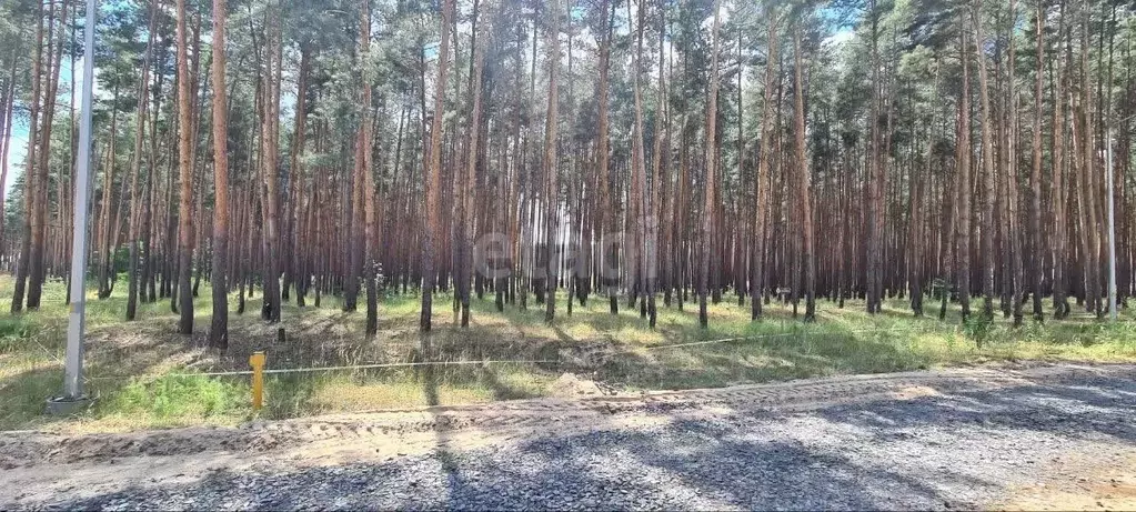 Участок в Белгородская область, Белгородский район, Поселок Разумное ... - Фото 0