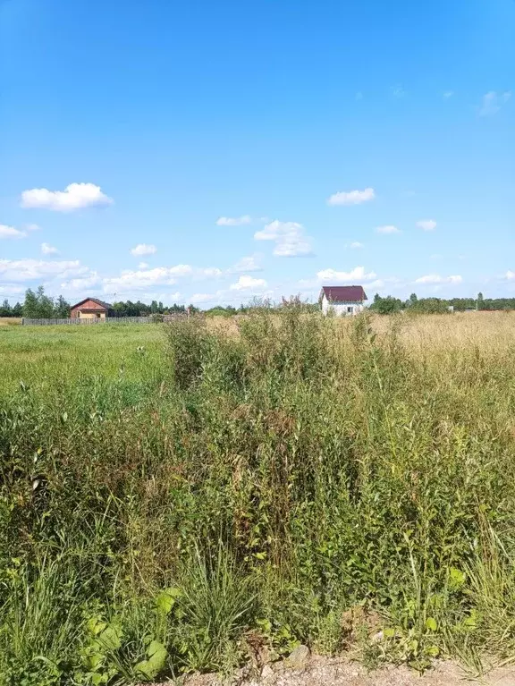 Участок в Новгородская область, Новгородский район, Ермолинское с/пос, ... - Фото 1