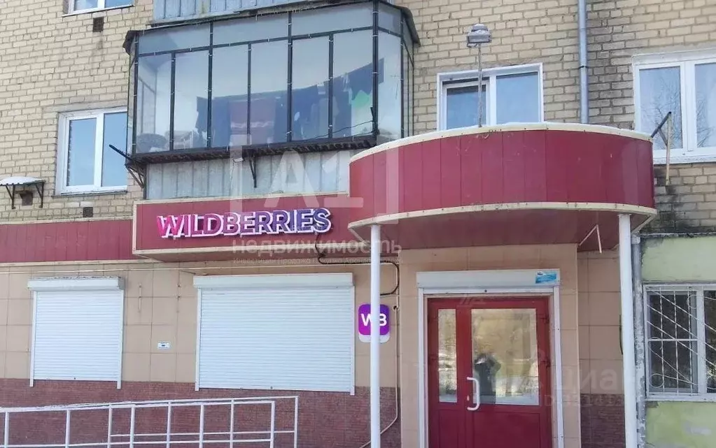 Торговая площадь в Челябинская область, Троицк Сибирская ул., 21 (54 ... - Фото 0