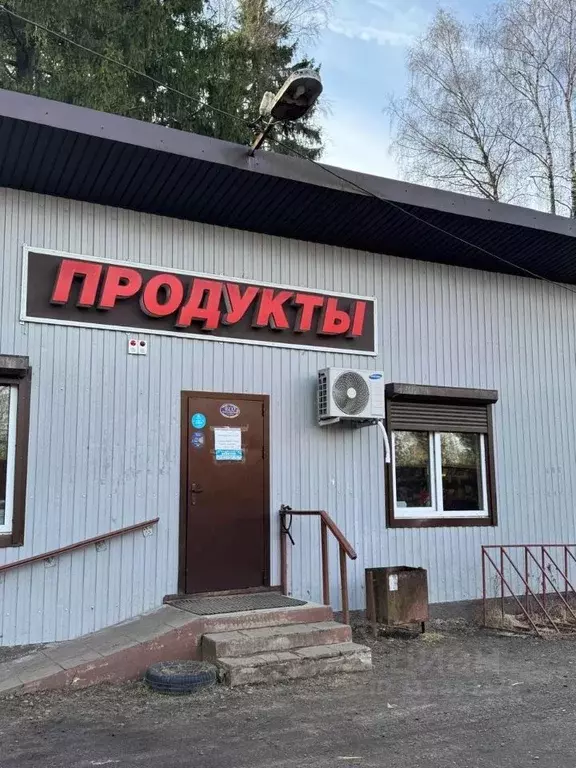 Торговая площадь в Московская область, Пушкино Мамонтовка мкр, ул. ... - Фото 0
