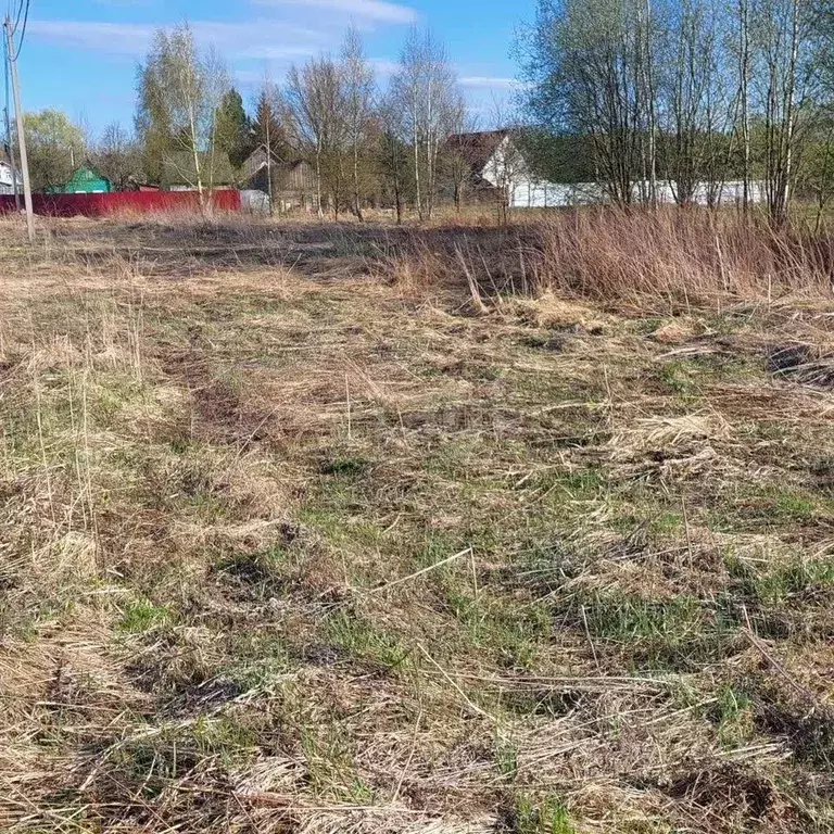 Участок в Ярославская область, Ярославский муниципальный округ, д. ... - Фото 1