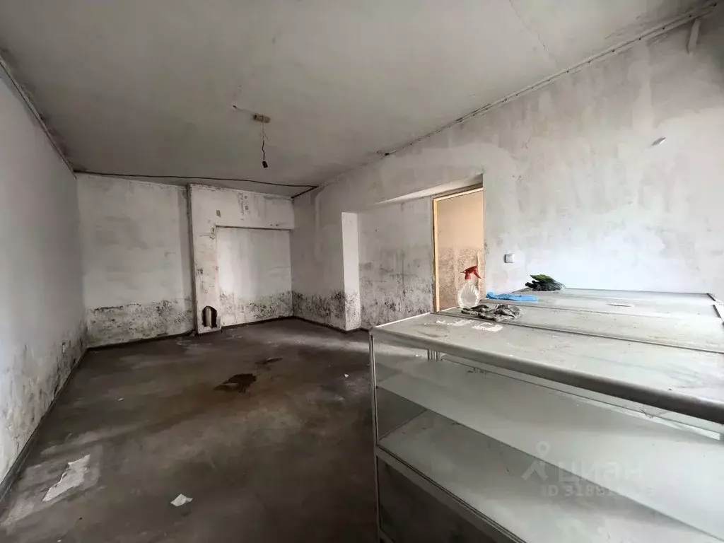 Помещение свободного назначения в Еврейская автономная область, ... - Фото 1