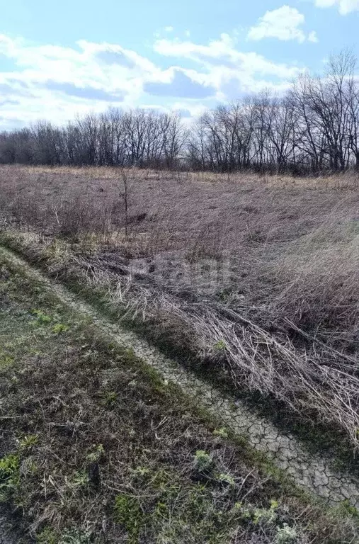 Участок в Мордовия, Саранск городской округ, пос. Пушкино  (10.0 сот.) - Фото 0