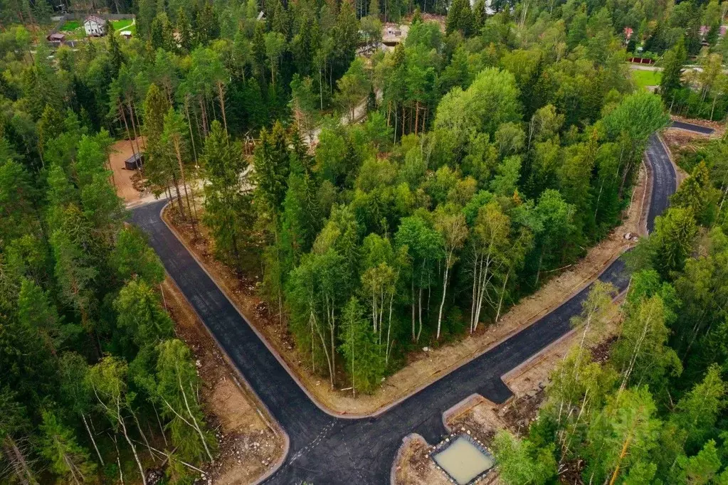 Участок в Ленинградская область, Выборгский район, Приморское ... - Фото 2