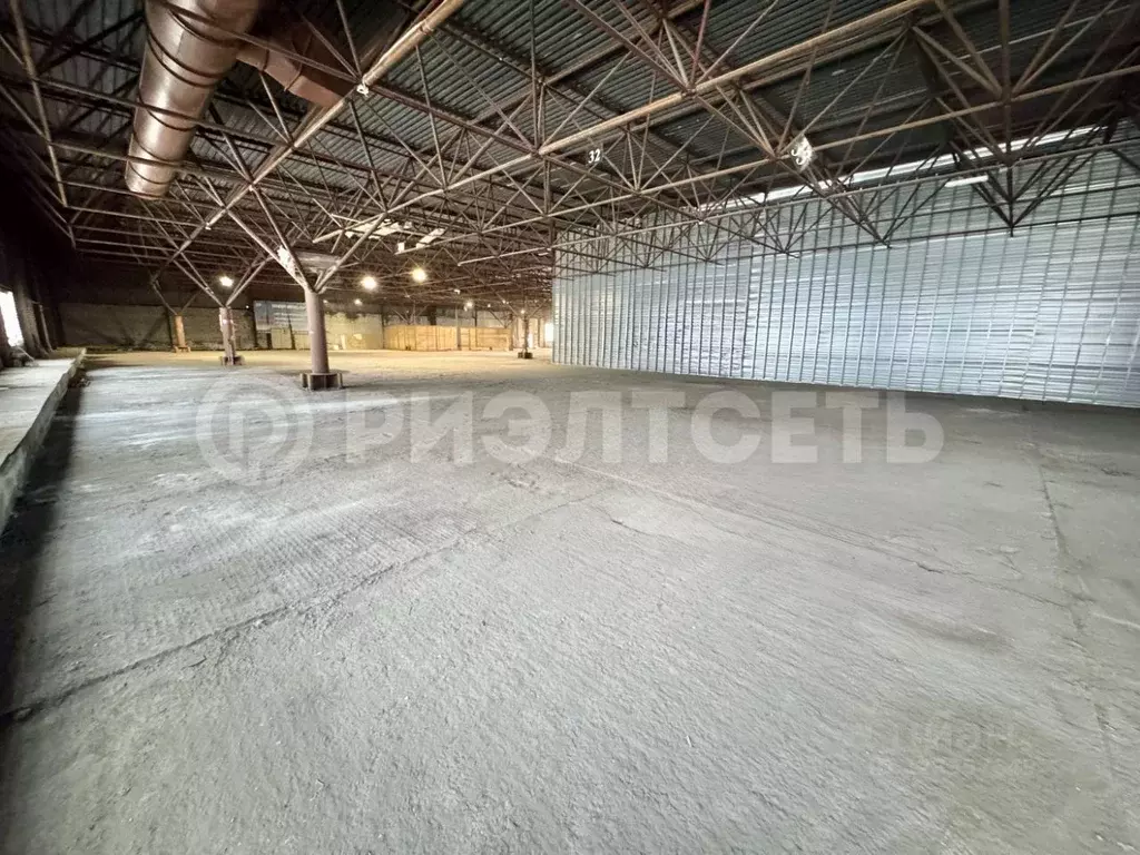 Склад в Мурманская область, Мурманск Домостроительная ул., 16к3 (2500 ... - Фото 1