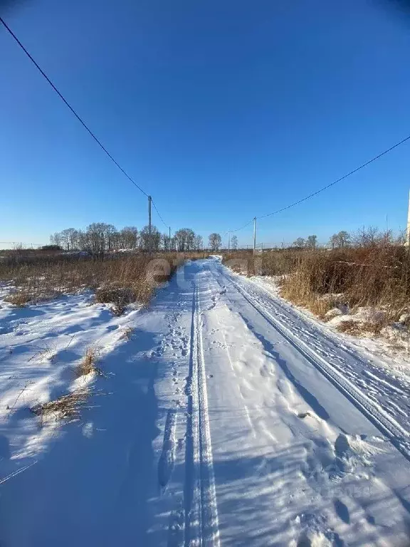 Участок в Амурская область, Белогорск Рябиновая ул. (14.3 сот.) - Фото 0