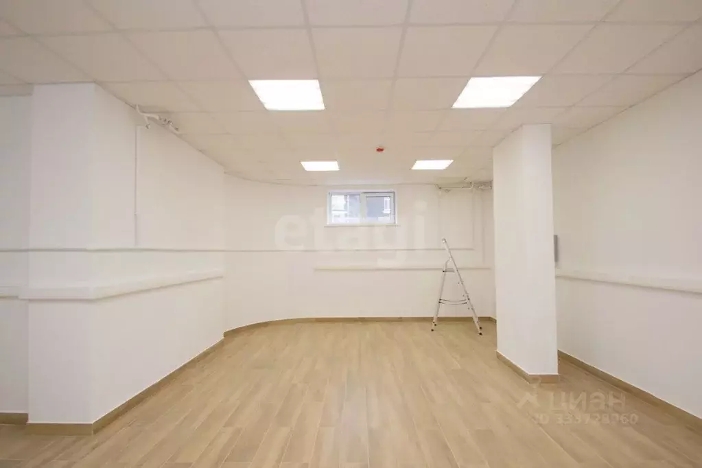 Офис в Калужская область, Калуга ул. Степана Разина, 28 (43 м) - Фото 2