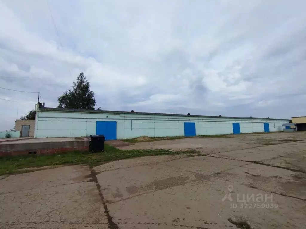Производственное помещение в Татарстан, Елабуга Окружное ш., 5 (1600 ... - Фото 2