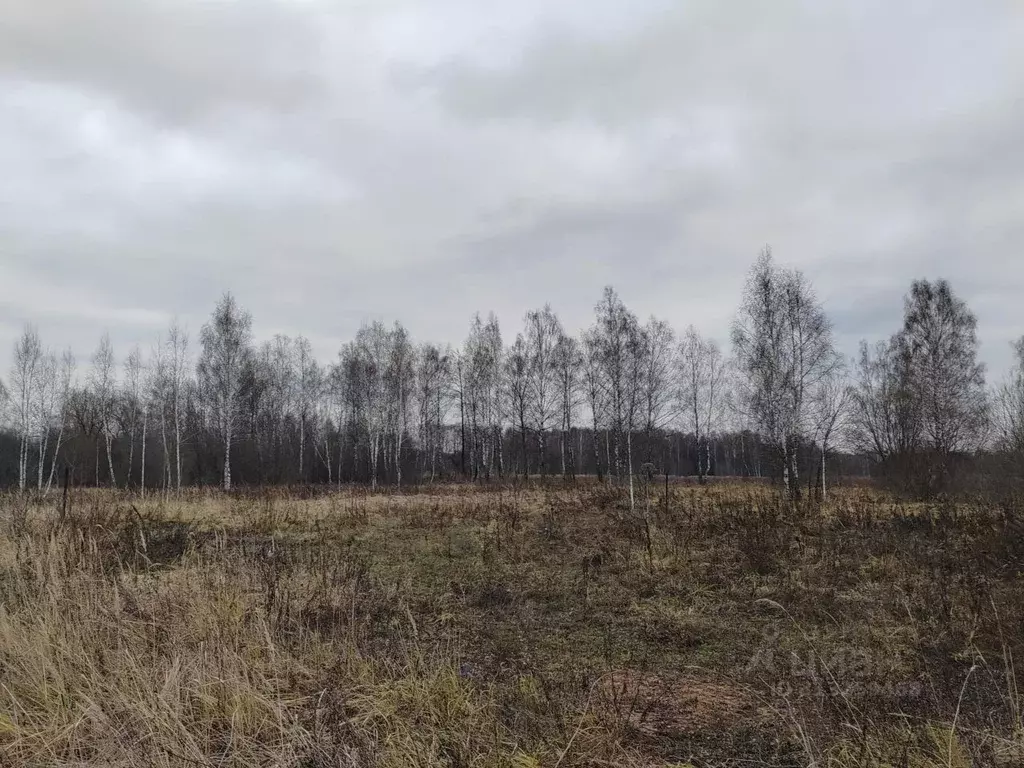 Участок в Московская область, Чехов муниципальный округ, Троицкое пгт  ... - Фото 1